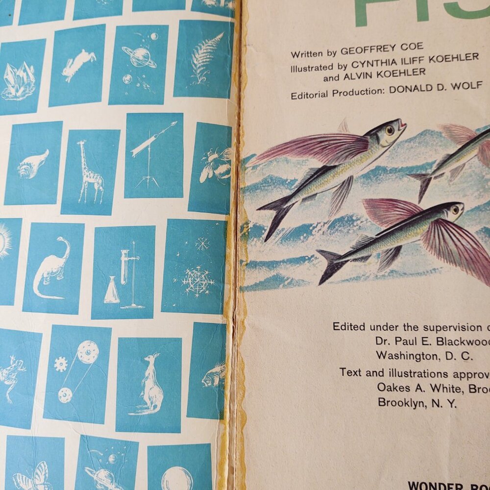 The How And Why Wonder Book Of Fish Geoffrey Coe 5038 Salmon Sharks Eels 1963 - Picture 3 of 10